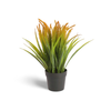 Fox Tail Pot