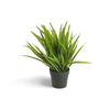 Fox Tail Pot