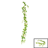 IVY Garland