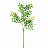 Flower Stems