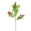 Flower Stems