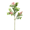 Flower Stems