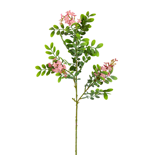 Flower Stems