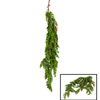 Pine Vine