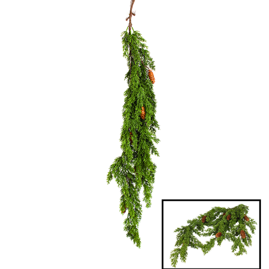 Pine Vine