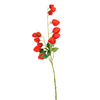 Flower Bells