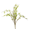 Leaf Stem