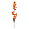 Berry Stem