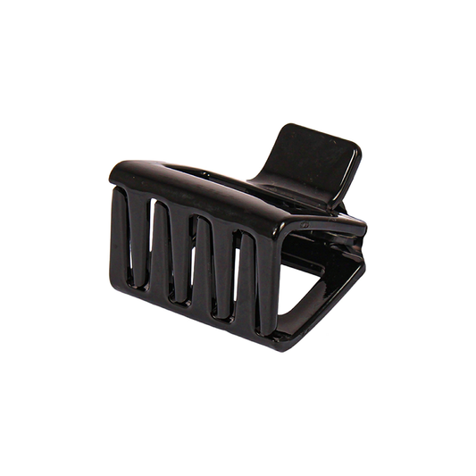 Claw Clip