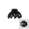 Claw Clip