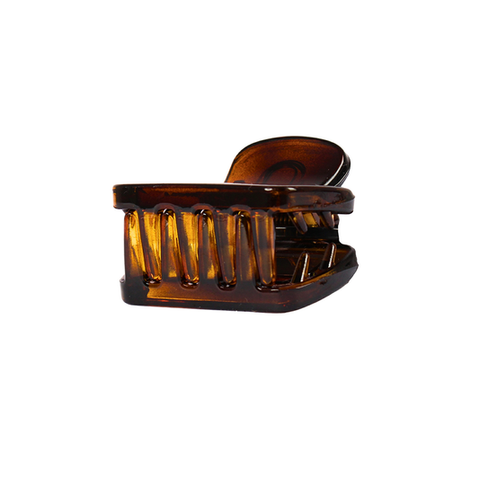 Claw Clip