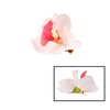 Hair Clip Orchid