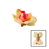Hair Clip Orchid