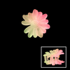 Claw Flower Clip
