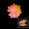 Claw Flower Clip