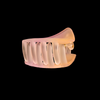 Claw Clip
