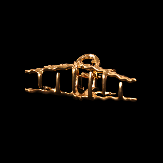 Claw Clip