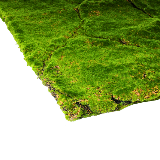 Moss Wall Decor 1M