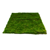 Moss Wall Decor 1M