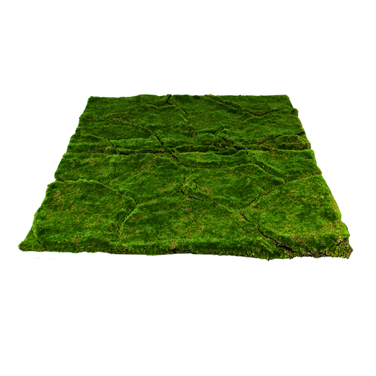 Moss Wall Decor 1M