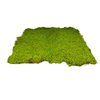 Moss Wall Decor 1M