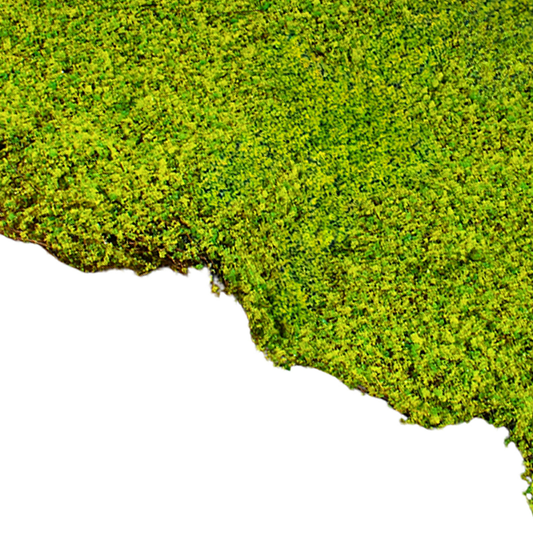 Moss Wall Decor 1M