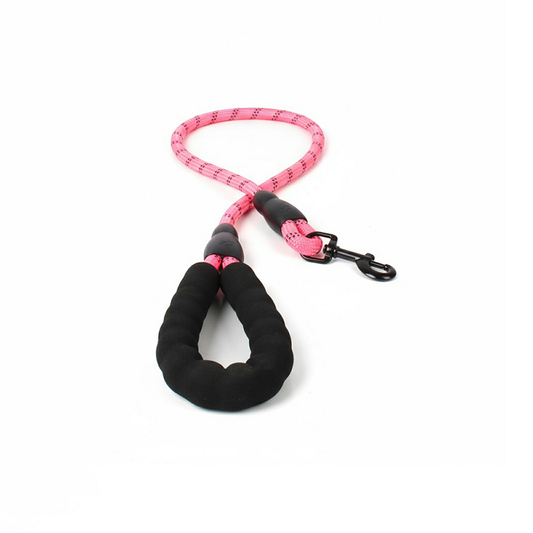 Dog Leash