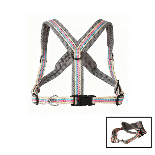 Dog Leash