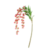 Bell Flowers