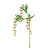 Bell Flowers