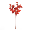 Maple Stem