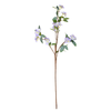 Flower Stem