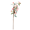 Flower Stem