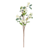 Flower Stem