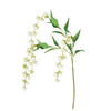Bell Flowers