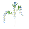 Bell Flowers