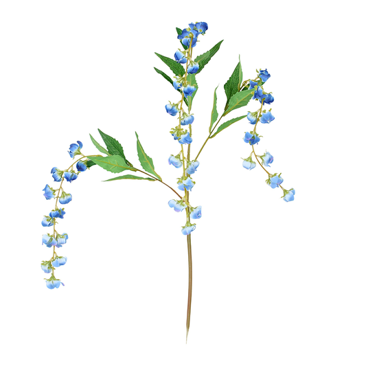 Bell Flowers
