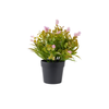 Flower Pot