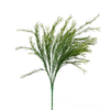 ORN/ Grass