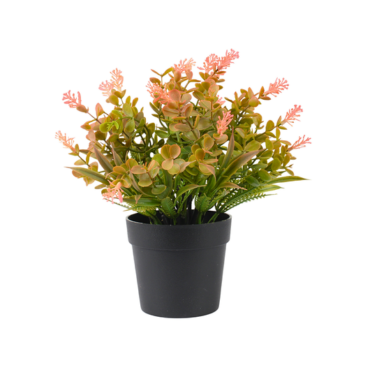 Flower Pot