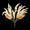 Astilbe Bunch