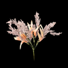 Astilbe Bunch