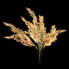 Astilbe Bunch