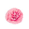 Flower Decor