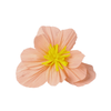 Flower Decor