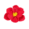 Flower Decor