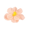 Flower Decor