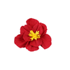 Flower Decor