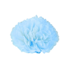 Flower Decor