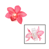 Hair Clip Orchid